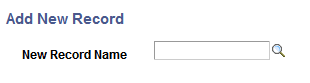 Add New Record page Add New Record page