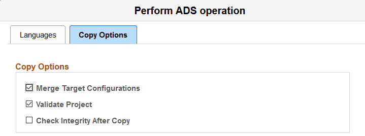Copy From File - Copy Options page Copy From File - Copy Options page