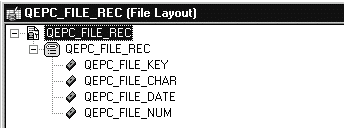 QEPC_FILE_REC File Layout QEPC_FILE_REC File Layout
