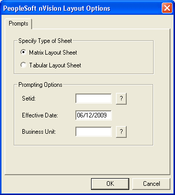 PeopleSoft nVision Layout Options dialog box PeopleSoft nVision Layout Options dialog box