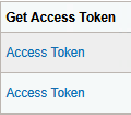 Authorized Flow Grant Type page - Get Access Token