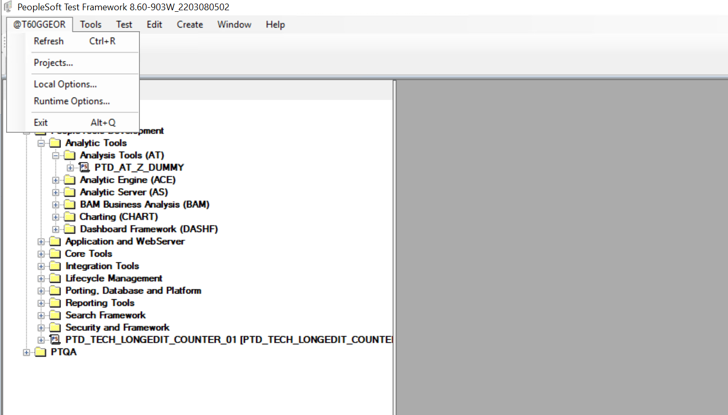 Accessing the Runtime Options Dialog box from the PTF client menu