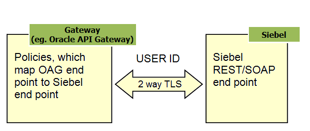 Oracle API Gateway Role in Single Sign-On Authentication Process: There is a Gateway component (Policies, which map OAG end point to Siebel end point) and a Siebel component (Siebel REST/SOAP end point) in this image. There is a bidirectional arrow, labeled 2 way TLS, going from the Gateway component to the Siebel component.