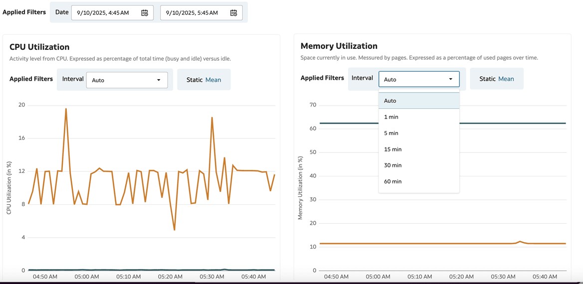 Compute metrics tab open. The Interval dropdown for Memory Utilization is open with Auto selected.