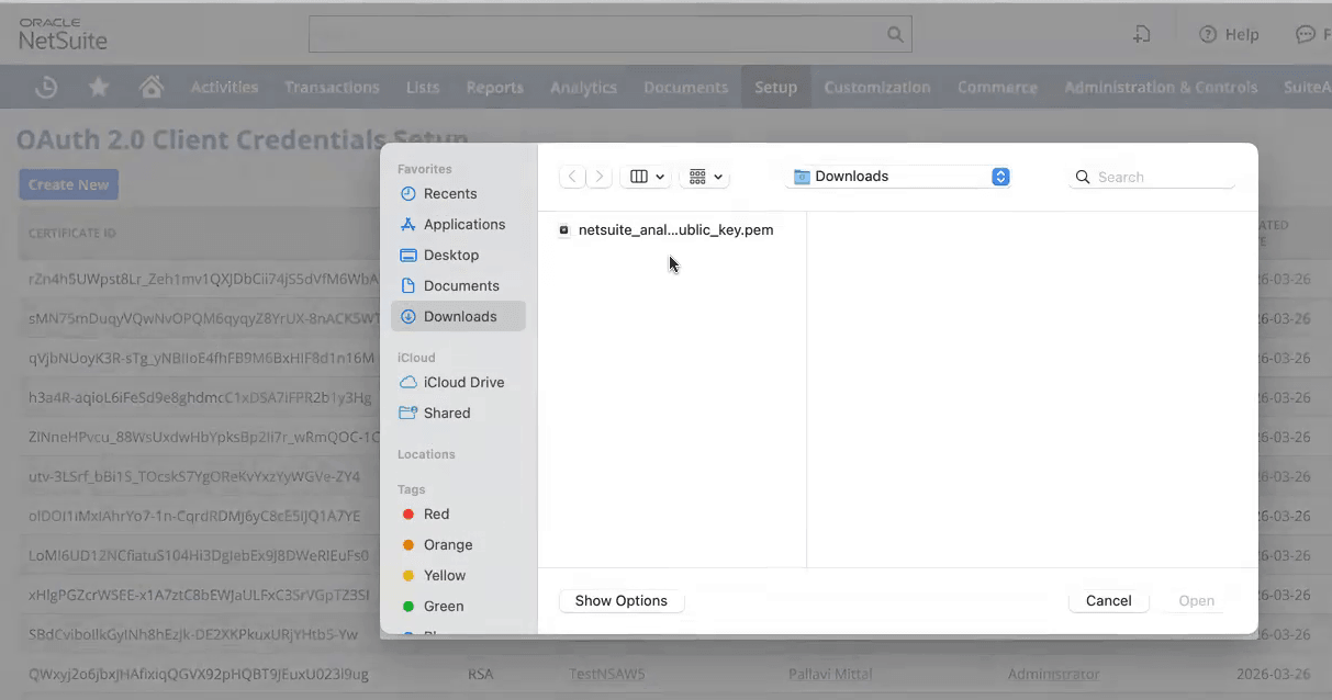 Description of nsaw-downloaded-private-key.png follows