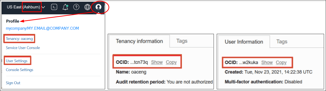 Description of vision-tenancy-ids.png follows