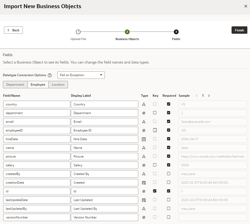 Description of bo-datamgr-import-new-fields.png follows