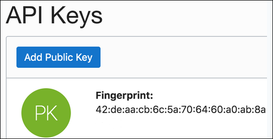 API Keys section with an Add Public Key link and fingerprint value.