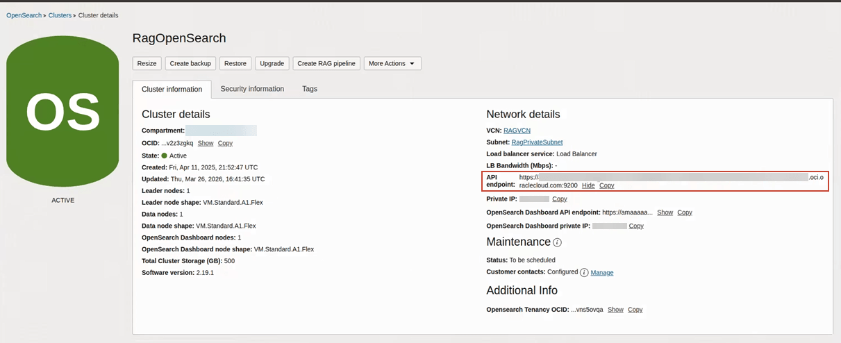OpenSearch cluster details page for RagOpenSearch with cluster status, node counts, storage, and API endpoint