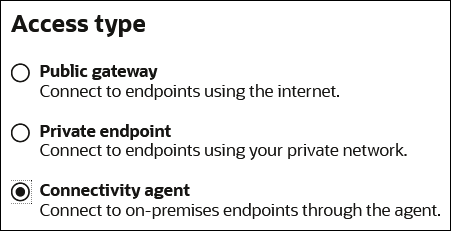 The Access type includes options for Public gateway, Private endpoint, and Connectivity agent. The Access type includes options for Public gateway, Private endpoint, and Connectivity agent.