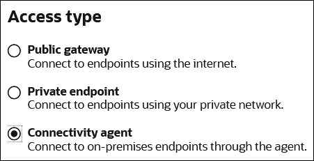 The Access type includes options for Public gateway, Private endpoint, and Connectivity agent.