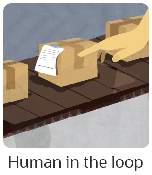 Human in the loop