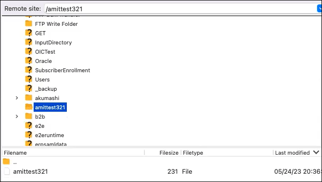The directory structure shows a directory named amittest321 and a file name named amittest321.