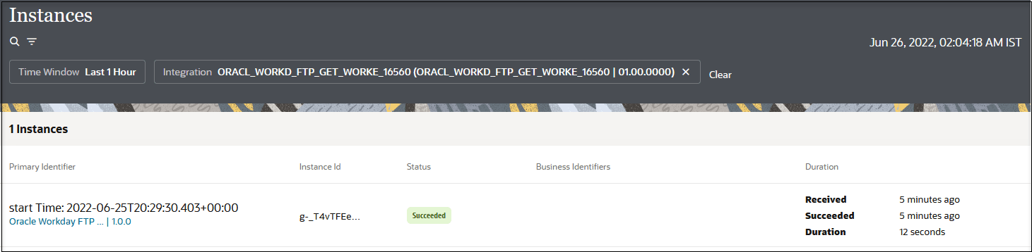 The Instances page shows search and filter icons at the top. To the far right is the time stamp. After this are any filtering details that you have set. After is the Instances table with columns for Primary Identifier, Instance Id, Status, Business Identifiers, and Duration.
