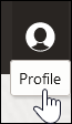 The Profile icon