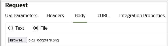 The URI Parameters, Headers, Body (selected), cURL, and Integration Properties tabs are shown. After this are the Test and File (selected) buttons. After this is the Choose File button. An image file has been selected.
