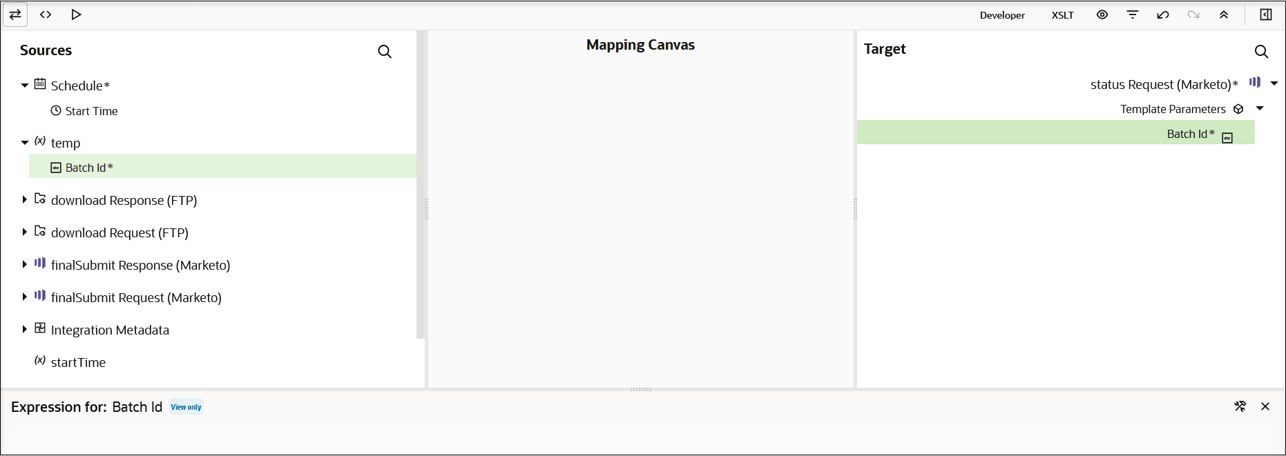 Three icons appear in the upper left. At the far right, Developer and XSLT links appear. Six more icons appear further right. Below are the Sources section, Mapping Canvas, and Target section. Mappings appear between the Sources and Target sections.
