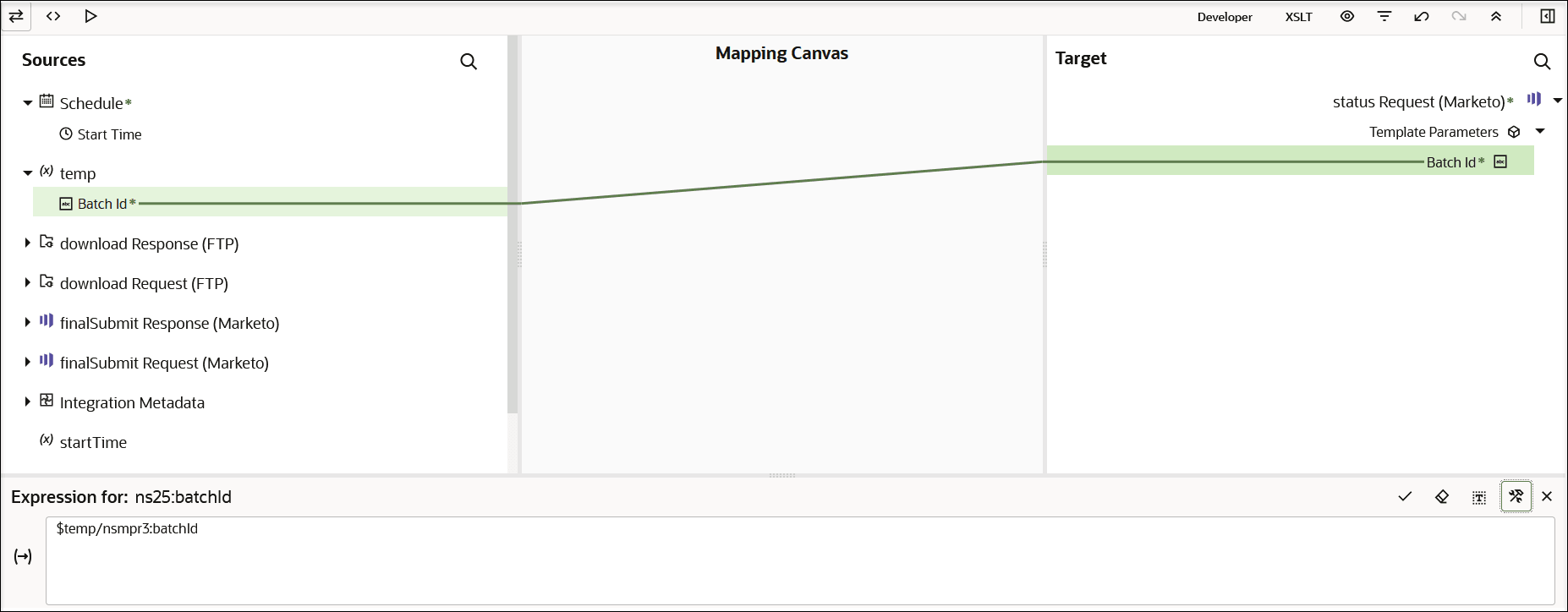 Three icons appear in the upper left. At the far right, Developer and XSLT links appear. Six more icons appear further right. Below are the Sources section, Mapping Canvas, and Target section. Mappings appear between the Source and Target sections. A Batch id source element is mapped to a Batch id target element.
