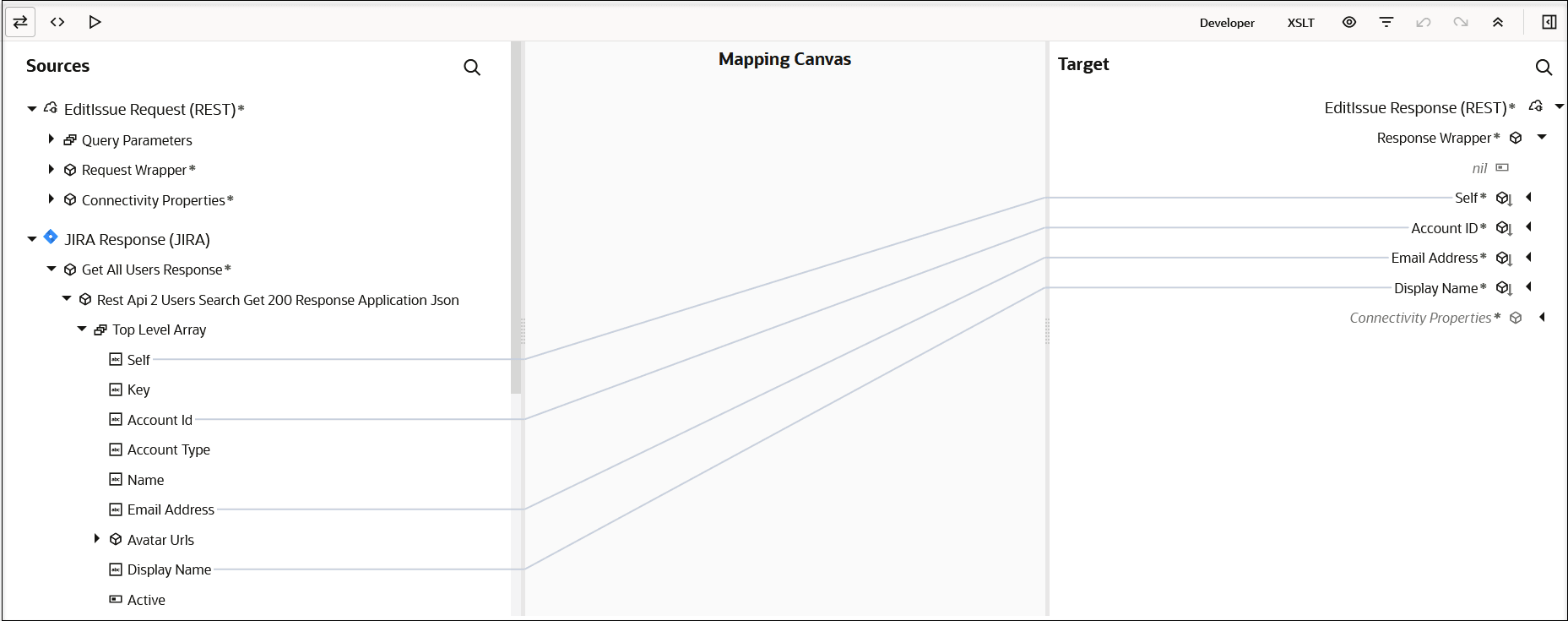 Three icons appear in the upper left. At the far right, Developer and XSLT links appear. Six more icons appear further right. Below are the Sources section, Mapping Canvas, and Target section. Mappings appear between the Sources and Target sections.
