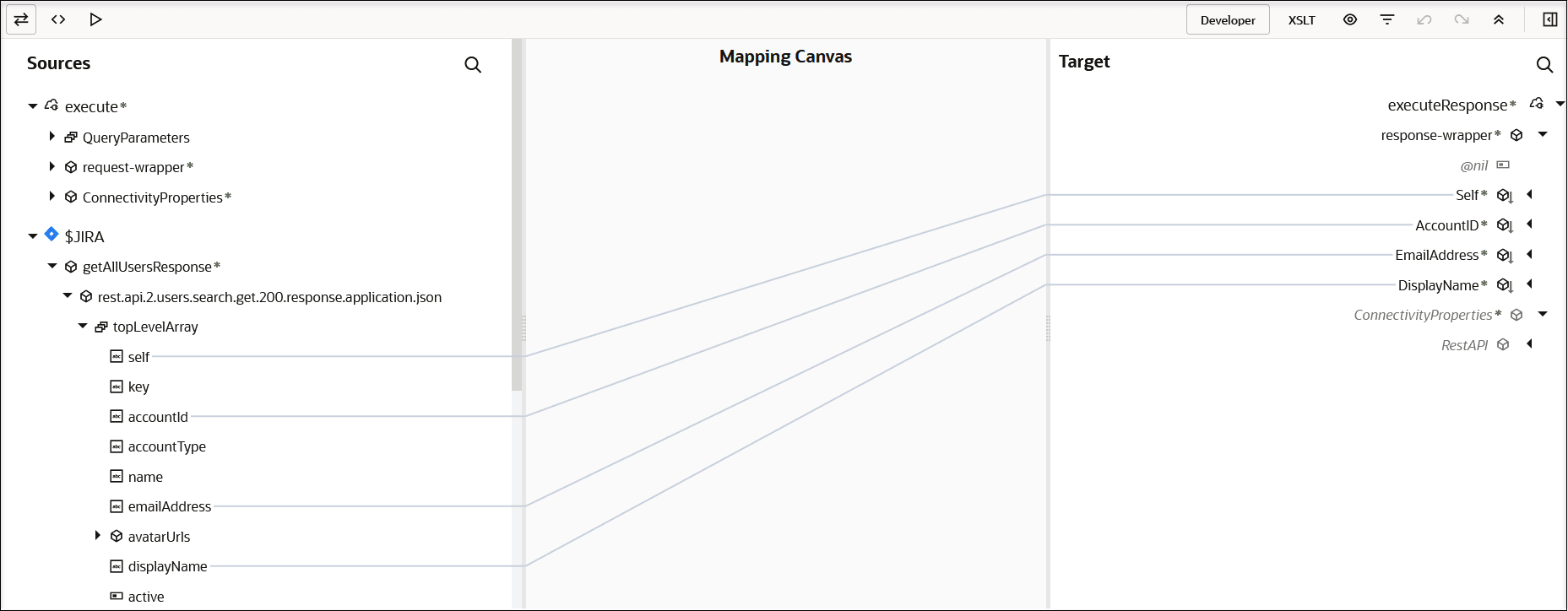 Three icons appear in the upper left. At the far right, Developer and XSLT links appear. Six more icons appear further right. Below are the Sources section, Mapping Canvas, and Target section. Mappings appear between the Sources and Target sections.