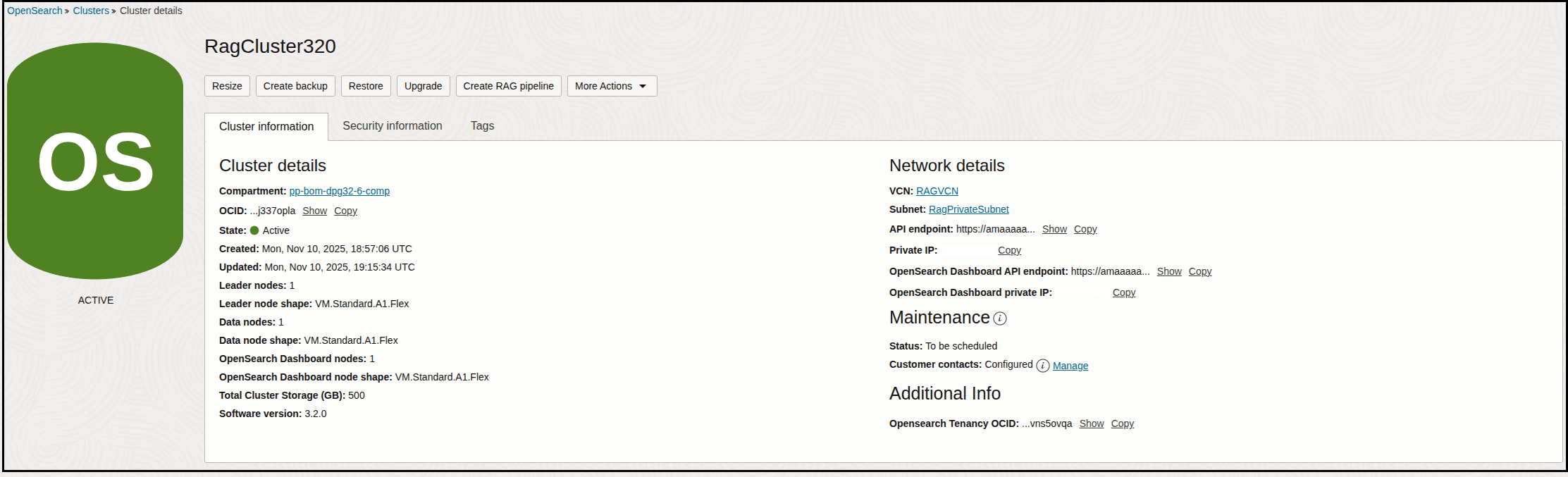 The Cluster details page shows tabs for Resize, Create backup, Restore, Upgrade, Create RAG Pipeline, and More actions. Below this the Cluster information tab is selected. This tab shows sections for Cluster details and Network details. On the left a green circle labeled Active is shown.