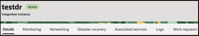 The instance name and the word Active next to it appear at the top. The Details (which is selected), Monitoring, Networking, Disaster recovery, Associated services, Logs, and Work requests tabs are shown.