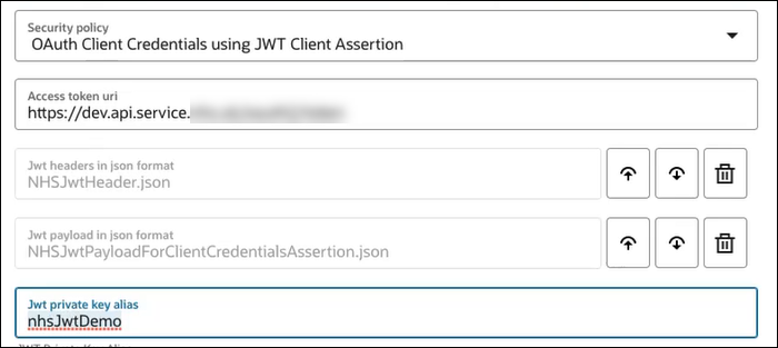 The Security policy list shows OAuth Client Credentials using JWT Client Assertion as the selected value. Below is the Access token URL field, the JWT headers in JSON format field, JWT payload in JSON format field, and JWT private key alias field.