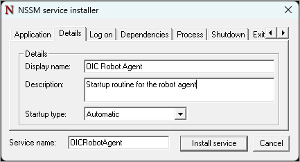 Sample values for the Details tab. Display name: OIC Robot Agent. Description: Startup routing for the robot agent.