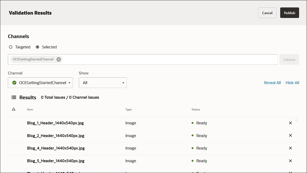 This image shows the Validation Results page, with the OCEGettingStartedChannel channel added in the Channels field, all assets validated, and the Publish button enabled.