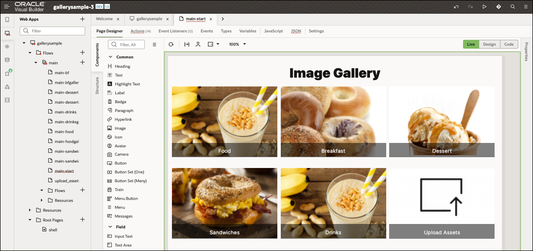This image shows the image gallery application open in Oracle Visual Builder.