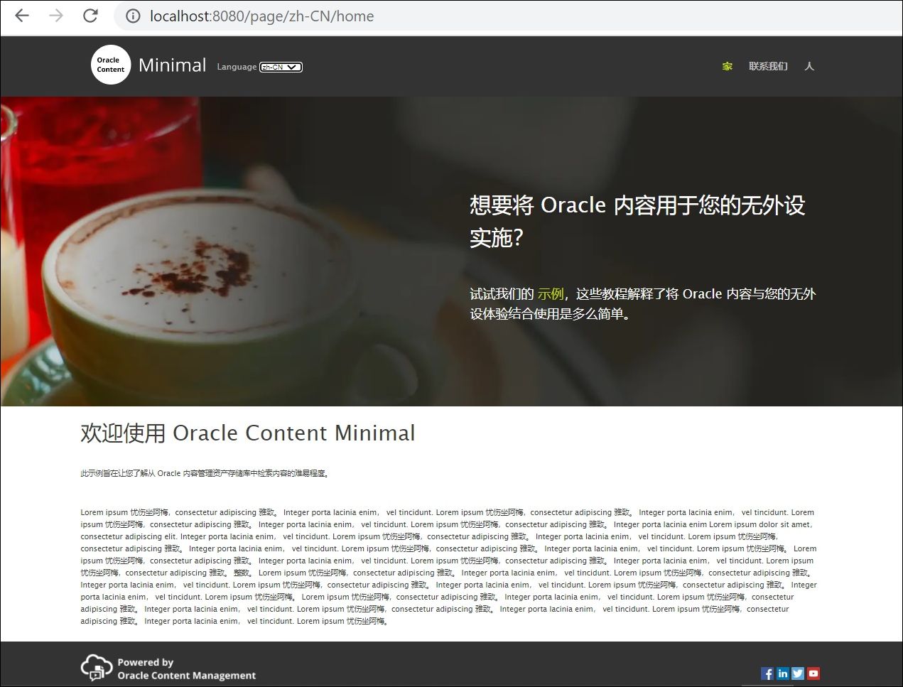 The Chinese home page