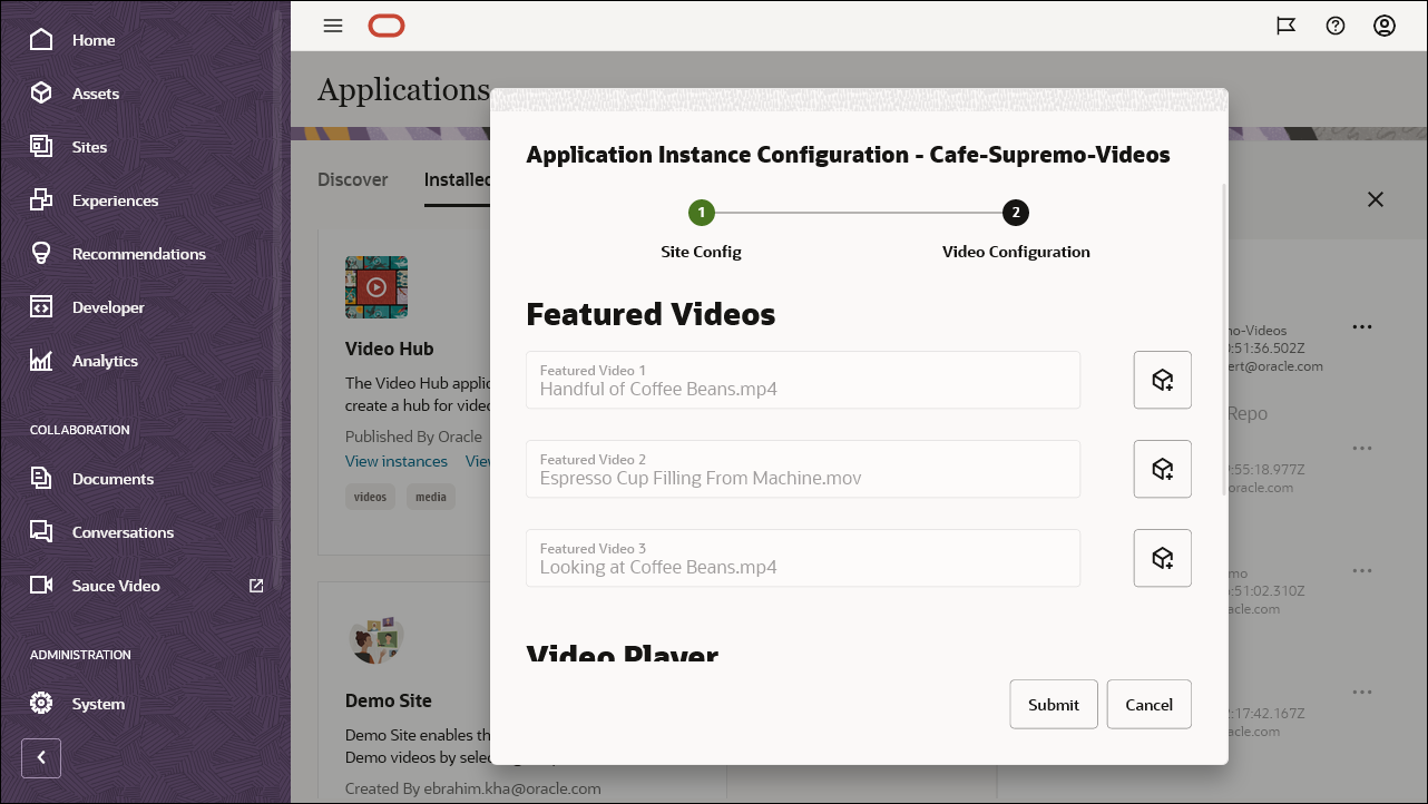 Video Configuration section of the Application Instance Configuration dialog.
