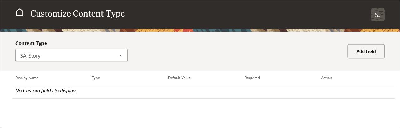 Customize Content Type page.