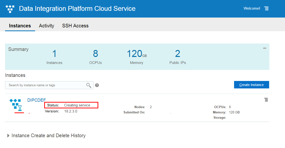 DIPCDEF Service instance details