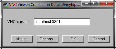 Window for VNC Viewer. Enter the localhost and port