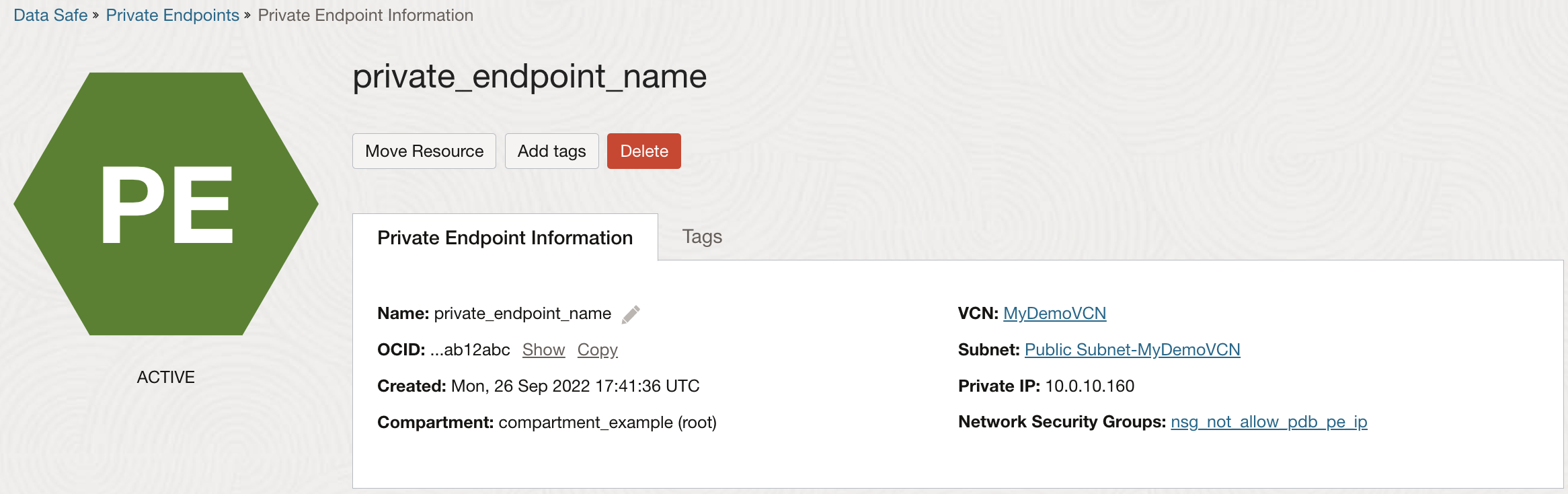 Private Endpoint Information tab