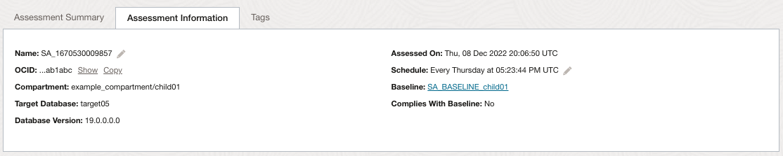 Description of sa_assessment_information_tab.png follows