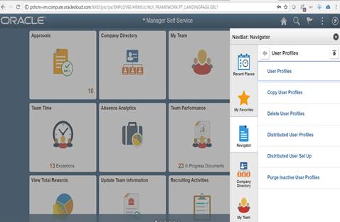 PeopleSoft HCM Console - User Profiles