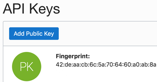 API Keys section with an Add Public Key link and fingerprint value.
