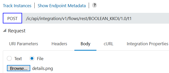 URI Parameters, Headers, Body (selected), cURL, and Integration Properties tabs. Below this are the Test and File (selected) buttons. Below this is the Choose File button. An image file has been selected.