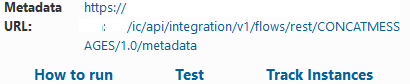 Metadata URL field and URL value, and How to run, Test, and Track Instances links are displayed.