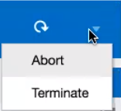 Abort and Terminate options