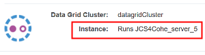 Data Grid Cluster datagridCluster has one node
