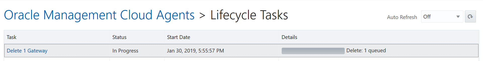 Lifecycle Delete Task