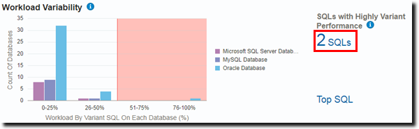 Workload Variability