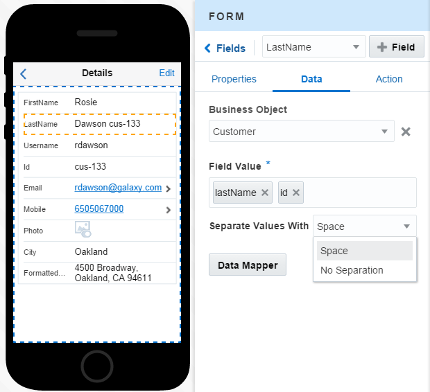 Description of form_field_data.png follows