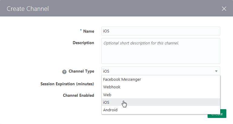 This is an image of the Create Channel dialog.