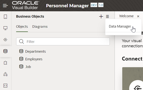 Data Manager menu item
