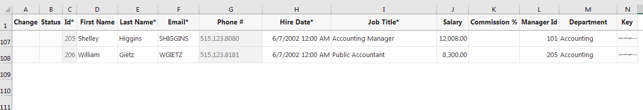 Description of excel-deletedrows.png follows