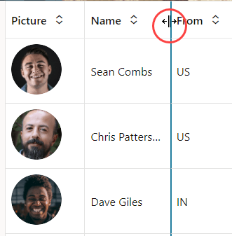 Description of table-columnresize1.png follows